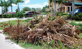 Garden Waste Removal